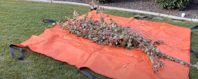 Removing Yard Waste: A How-To Guide